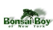 Bonsai Boy Of New York-CouponOwner.com